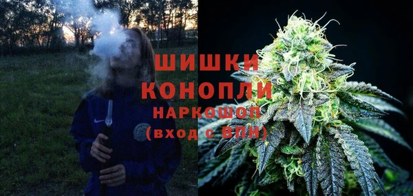 PSILOCYBIN Новокубанск