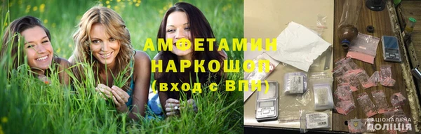 PSILOCYBIN Новокубанск