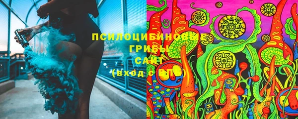 прущая мука Новозыбков