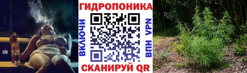 как найти   Щёкино  Конопля Bruce Banner 